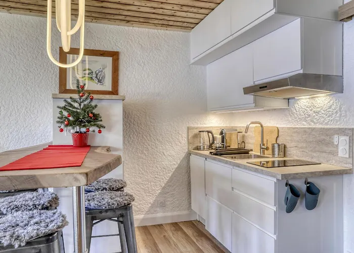 Renove A - 4 Pers, Wifi - Fr-1-453-321 Lejlighed Megève